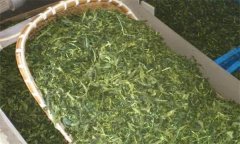 炒青綠茶加工分哪幾道工序、具體方法是什么？