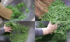 毛尖茶手工制作的具體步驟和方法是什么？