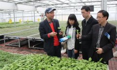 農村農業科技服務的基本內涵是什么？