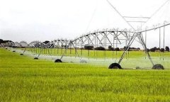 替代農業的類型、主要形式有哪些？