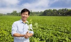 新型農民是指什么農民，其具備哪三個特征