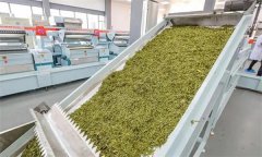 扁形名優綠茶機械加工的具體方法是什么？