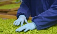 扁形名優綠茶手工制作的工藝流程和具體方法