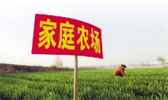家庭農場要通過實現專業化生產提高生產效率
