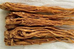 當歸的主要產地是哪里？當歸的作用和功效簡介