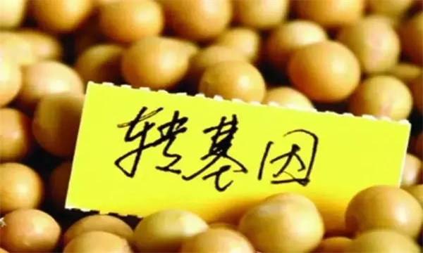 我國標識的農業轉基因產品有哪些