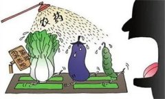 農藥“安全、經濟、有效”的使用原則