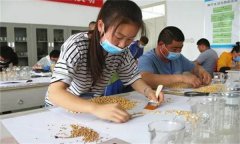 農作物的種子質量檢驗包括哪些內容？