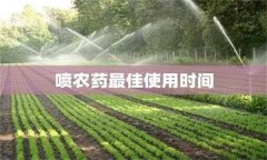農藥用藥時間問題：適時用藥是關鍵！