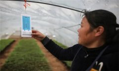 溫度對農作物生長發育的影響有哪些方面？