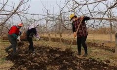 合理施肥的基本原理是什么？