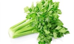 芹菜有何營養價值，多吃芹菜有哪些好處？
