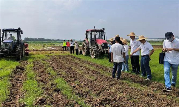 為什么說輪作制度可以調節土壤物理狀況