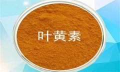 什么是葉黃素？哪些蔬菜富含葉黃素？