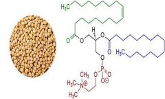 大豆異黃酮對人體有什么好處 什么食物含量多？