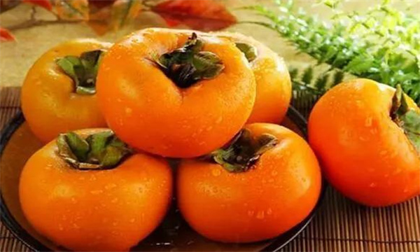 柿子有哪些營養價值