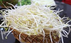 食用市場上出售的豆芽菜是否安全？