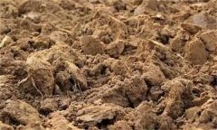 土壤肥力失衡、土壤質量下降、土壤酸化怎么辦