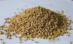 雞飼料中可以添加膽堿嗎？